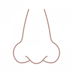 Siffri Icons_Around Nose Siffri Icons_Around Nose